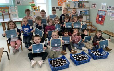 Sortie Apiculture