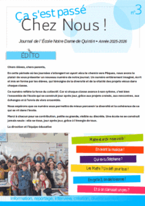 Journal Interne 3